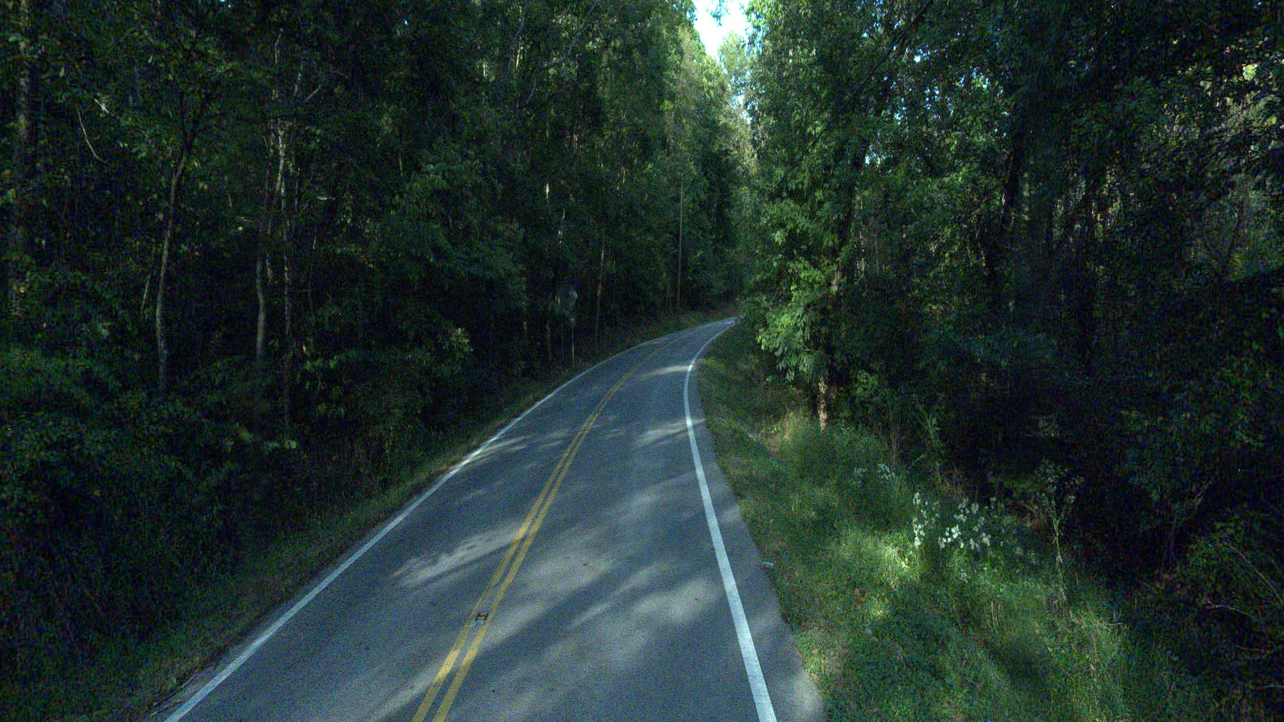 A curving roadway with centerline markings